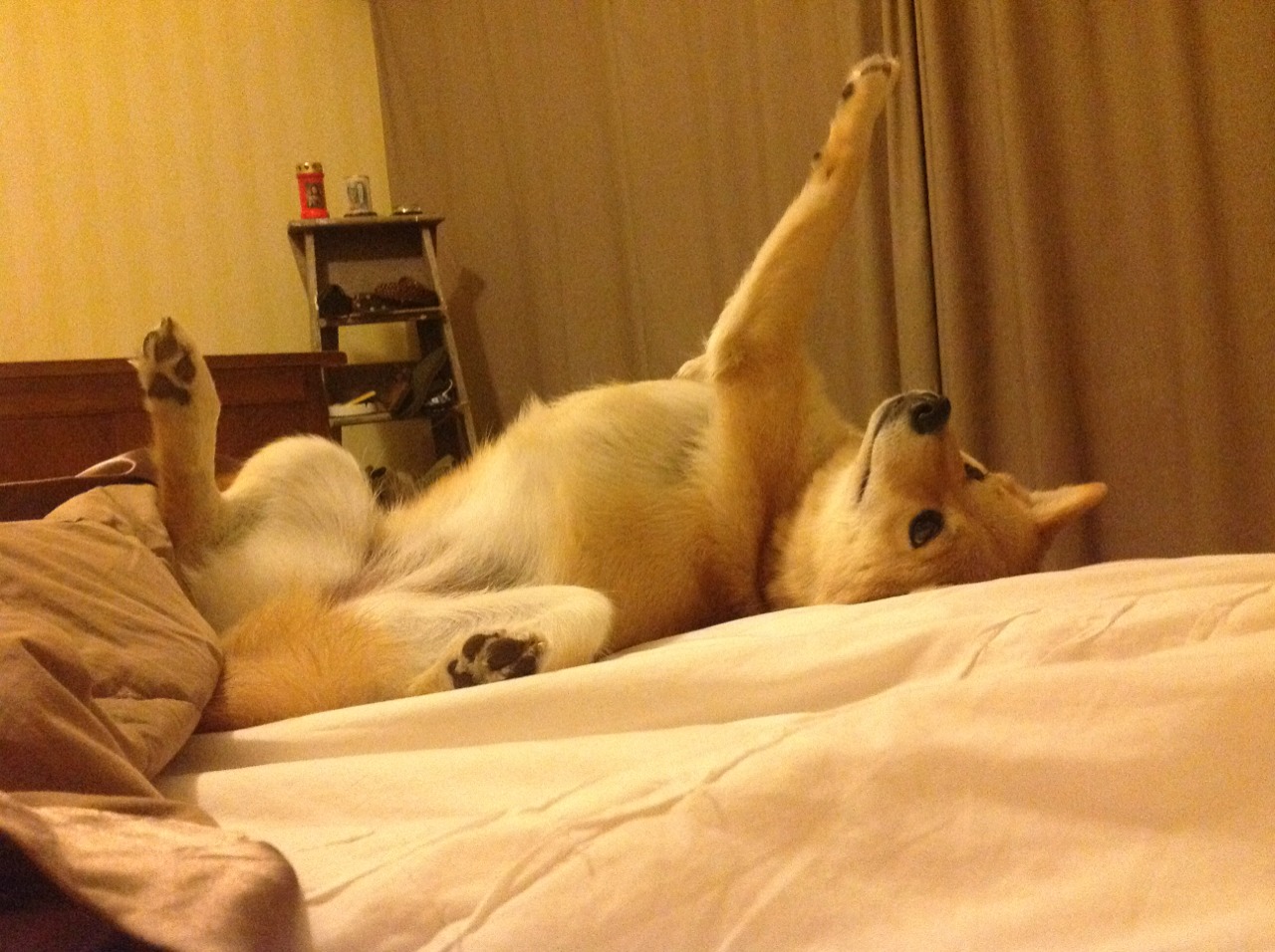 横扫的哲学，当德国战车碾压波兰堡垒，许昕的火如何点燃另一种胜利