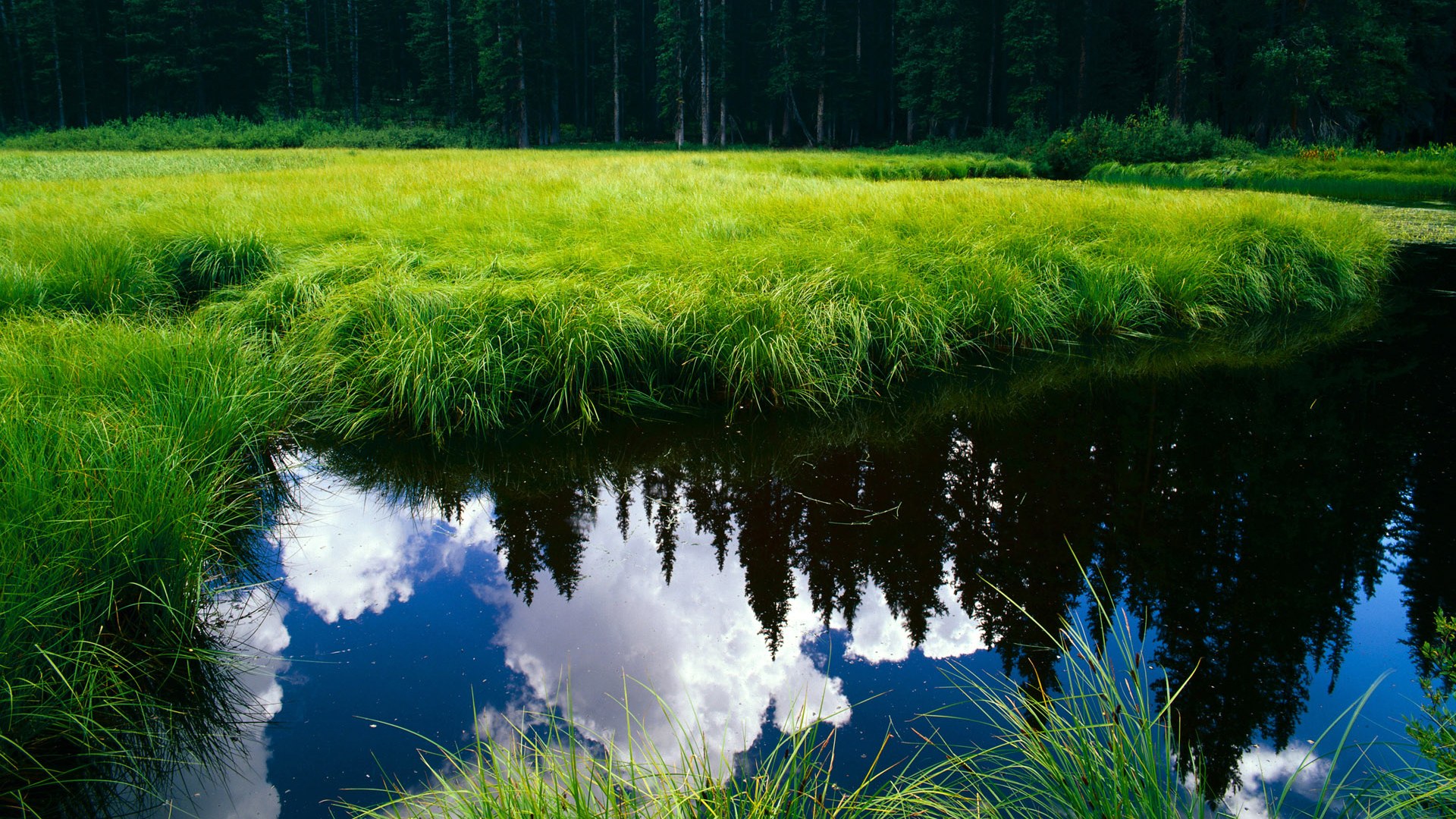 风暴眼中铸就传奇,阿拉巴在国家德比的攻防统治之夜