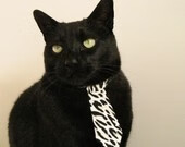 太阳节奏掌控奇才，武切维奇在意甲焦点战中的魔法