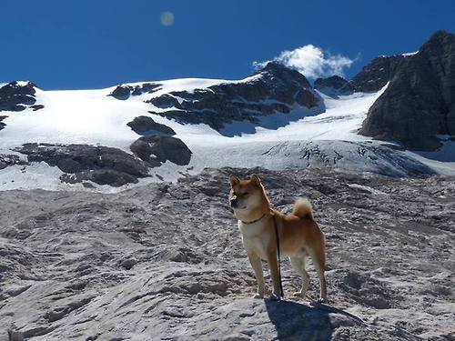 跨界巅峰战,奇才vs广东!拉梅洛34+15+9征服全场,最佳称号毫无悬念
