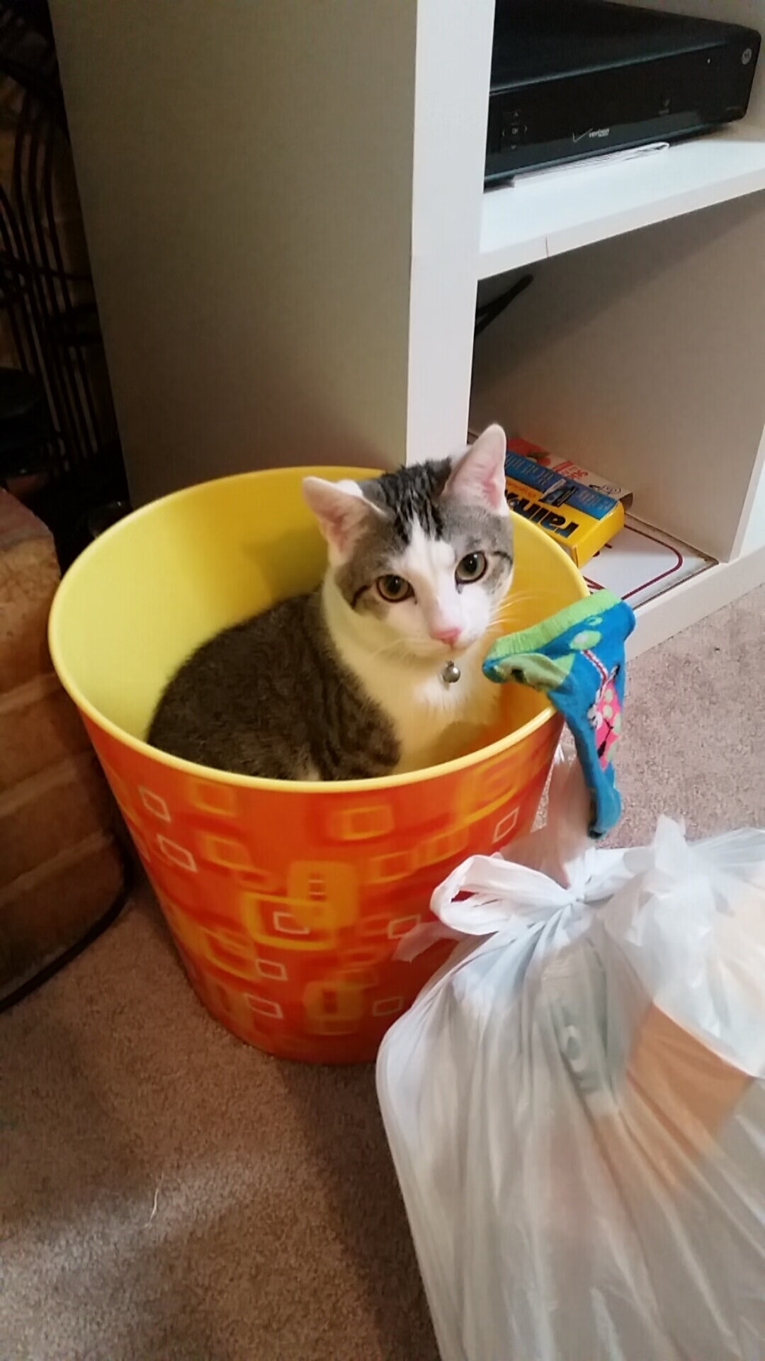 远征者的交响诗,国王强势晋级与布克的证明之战