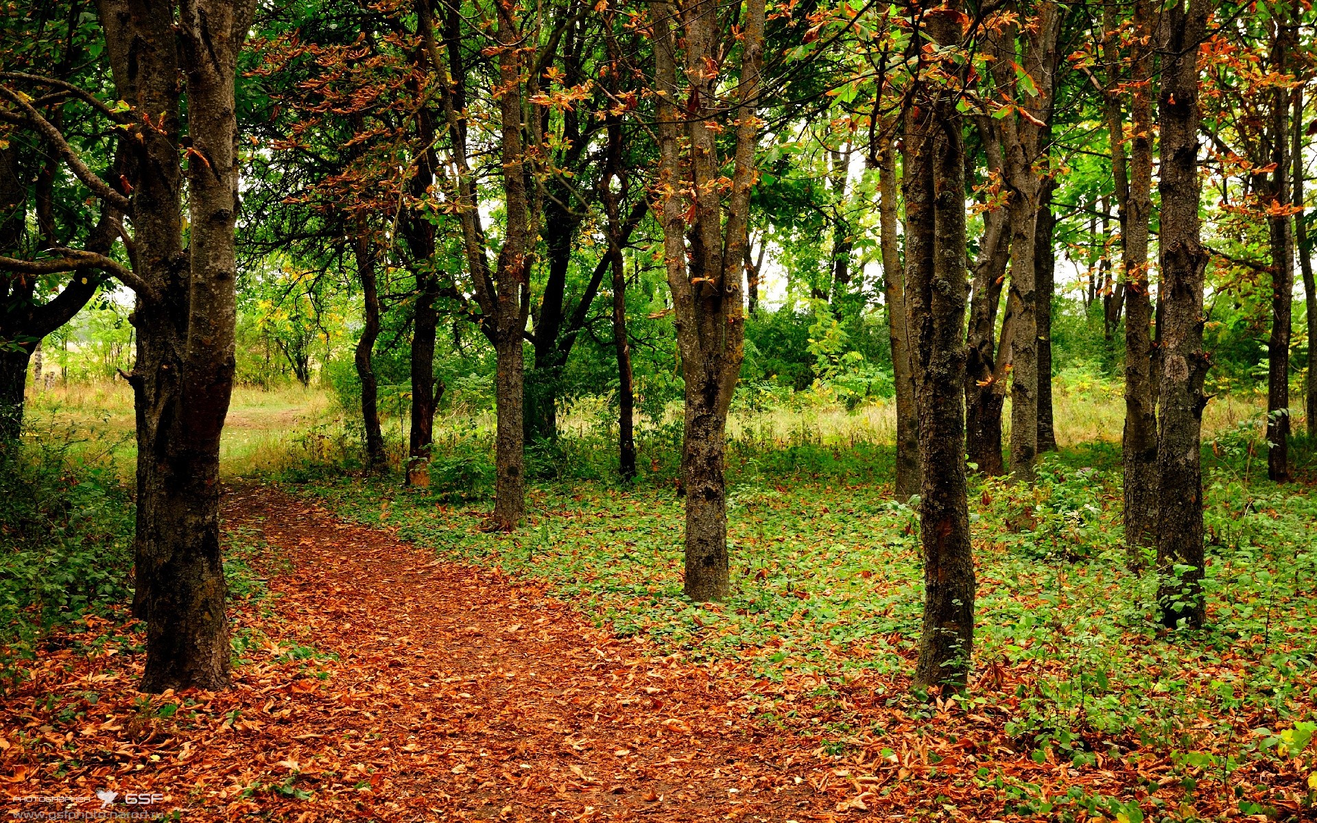 亚洲现象级新星降临！年度焦点之战，李刚仁凭何定义新时代？