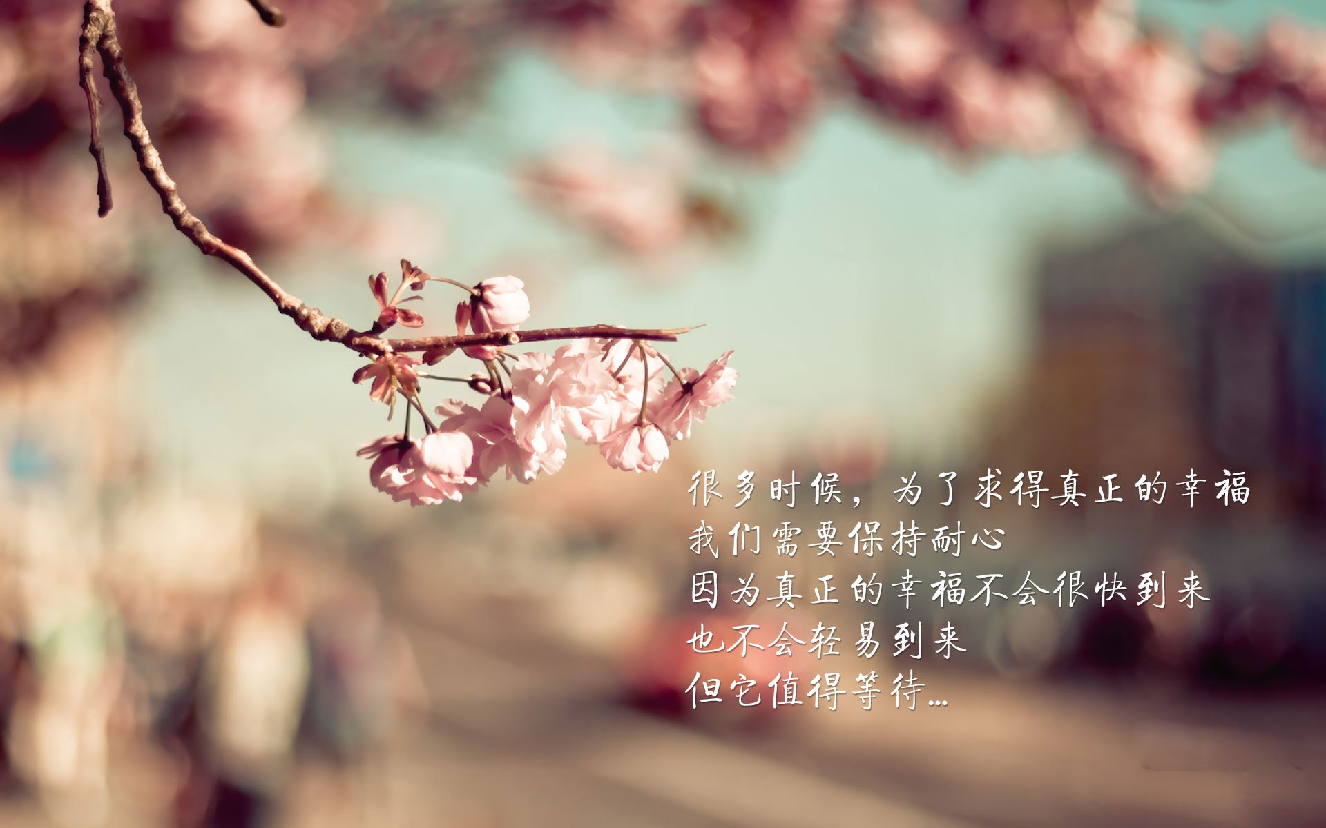 金元与传奇的碰撞，卡塔尔闪电战终结格子军，本泽马降维打击定乾坤