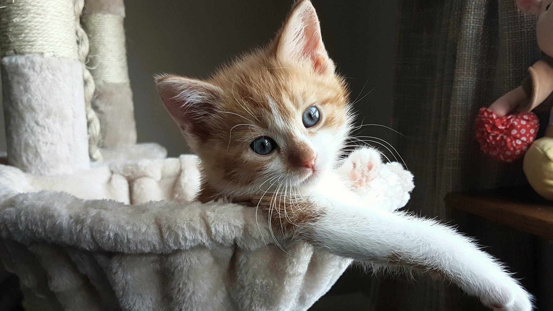 唯一性,终结王朝与定义时代