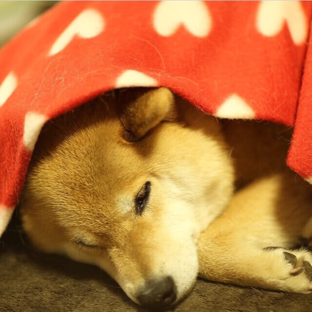 跨界接管,从NBA赛场到F1街道,当胜者意志突破界限