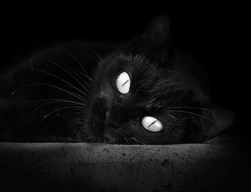 诺坎普的雨，赖斯的手套，毕尔巴鄂的号角