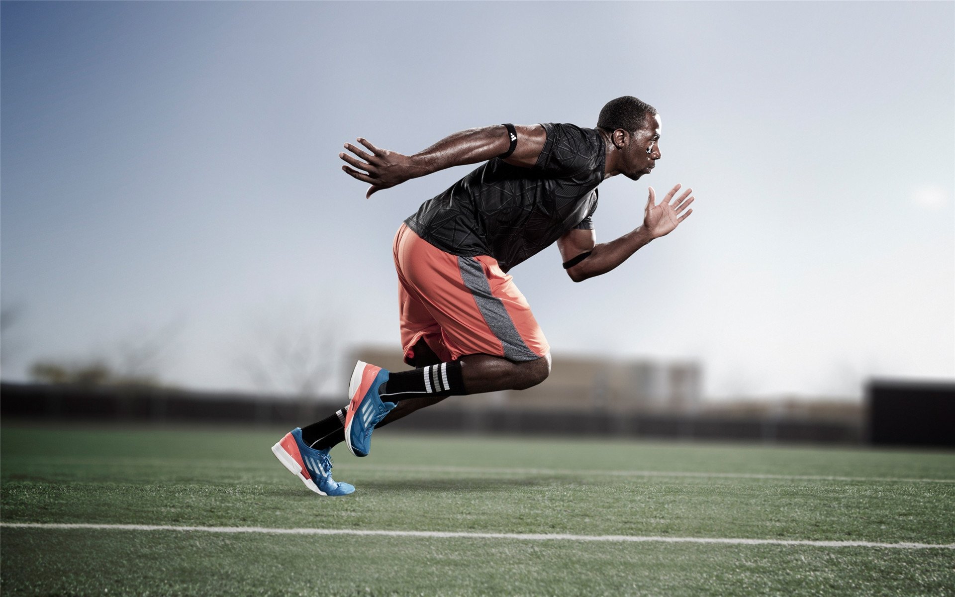 从阿诺埃塔到北美，罗德里格斯的双重征服