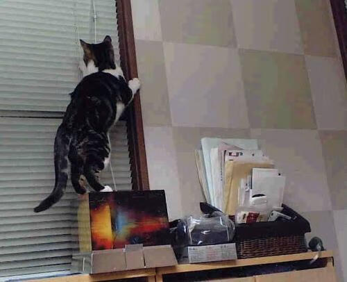 爱游戏体育-血与冰的交响，布伦森末节狂澜击碎雄鹿铁壁