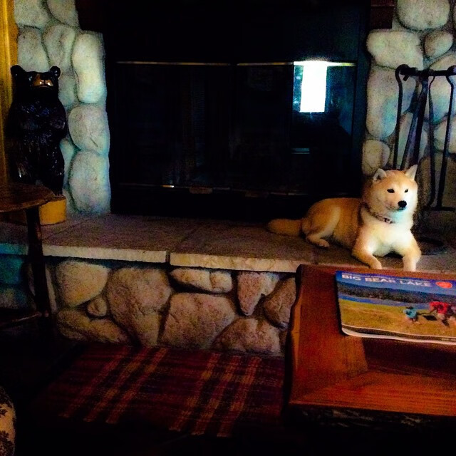 西域铁骑破北境 拉梅洛·鲍尔关键时刻定江山—新疆淘汰猛龙之战背后的英雄叙事