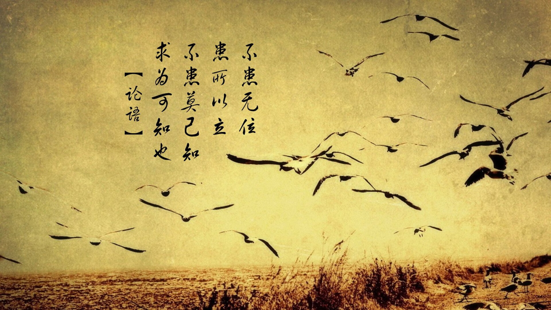 两套战术体系,一种取胜哲学,广厦队翻盘步行者队,东契奇带队取胜